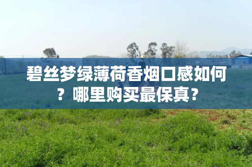 碧丝梦绿薄荷香烟口感如何？哪里购买最保真？